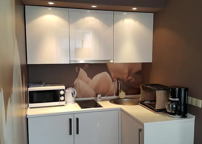 241lux W Diva Appartamento *